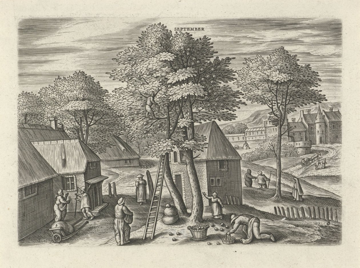 september (tittel på objekt) De tolv månedene (serietittel) av Julius Goltzius