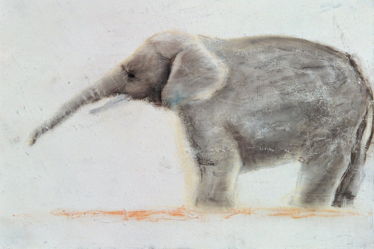 Elefant av Jung Sook Nam