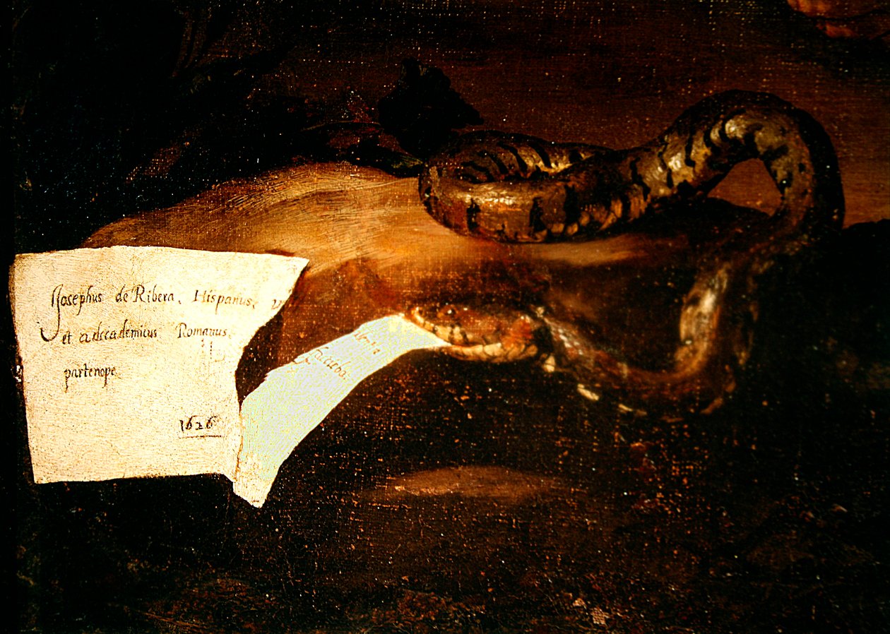 Detalj av Drunken Silenus, 1626 (detalj av 434192) av Jusepe de Ribera