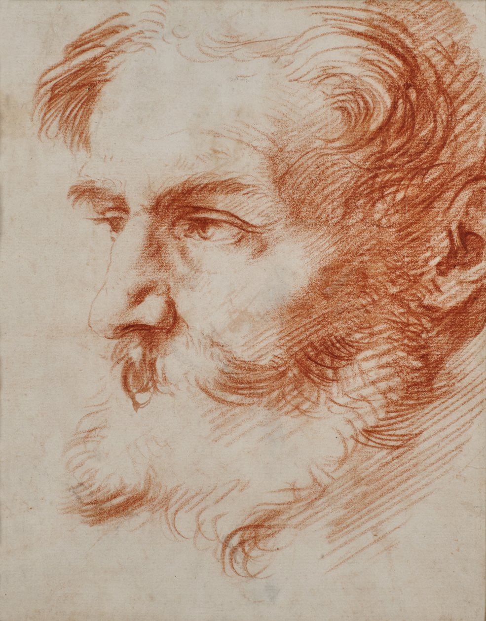 Hode av en skjeggete mann av Jusepe de Ribera