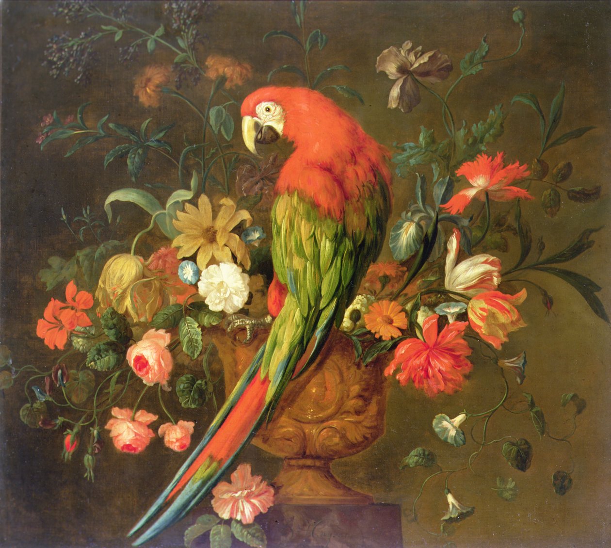 Scarlet ara plassert på en skulpturert urne med blomster (olje på lerret) av Justus van Huysum