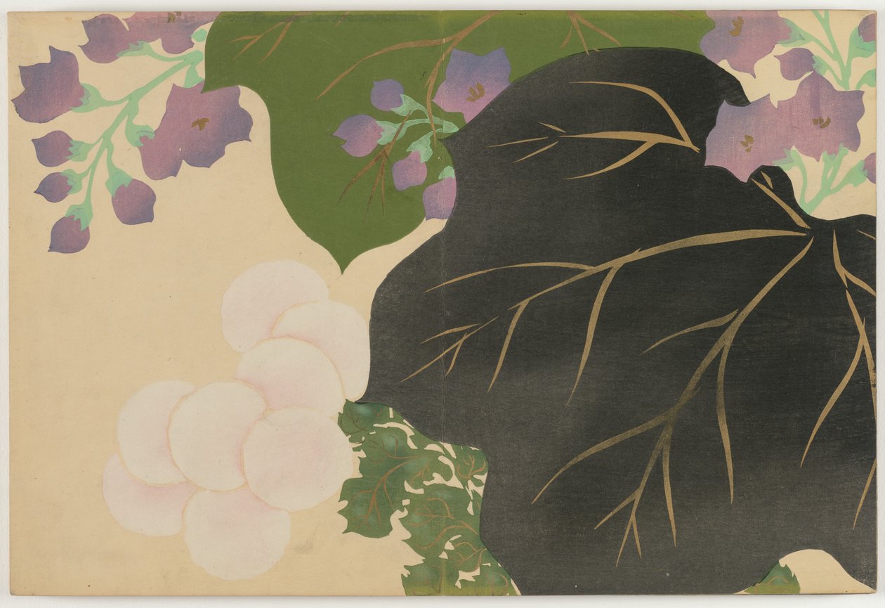 Flowers of a Hundred Worlds (Momoyogusa): Chrysanthemum and Paulownia (Kikukiri) av Kamisaka Sekka