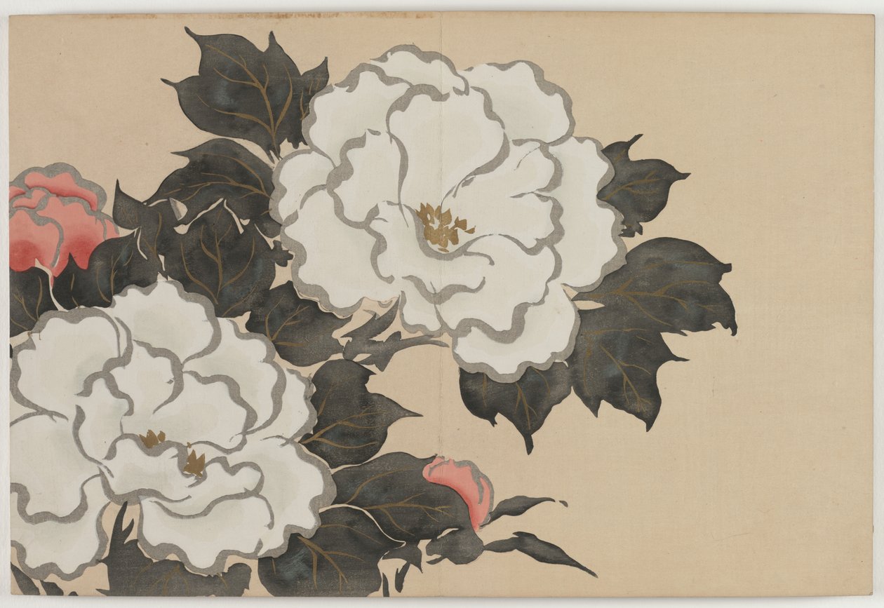 Flowers of a Hundred Worlds (Momoyogusa): Peoner (Fukamigusa) av Kamisaka Sekka