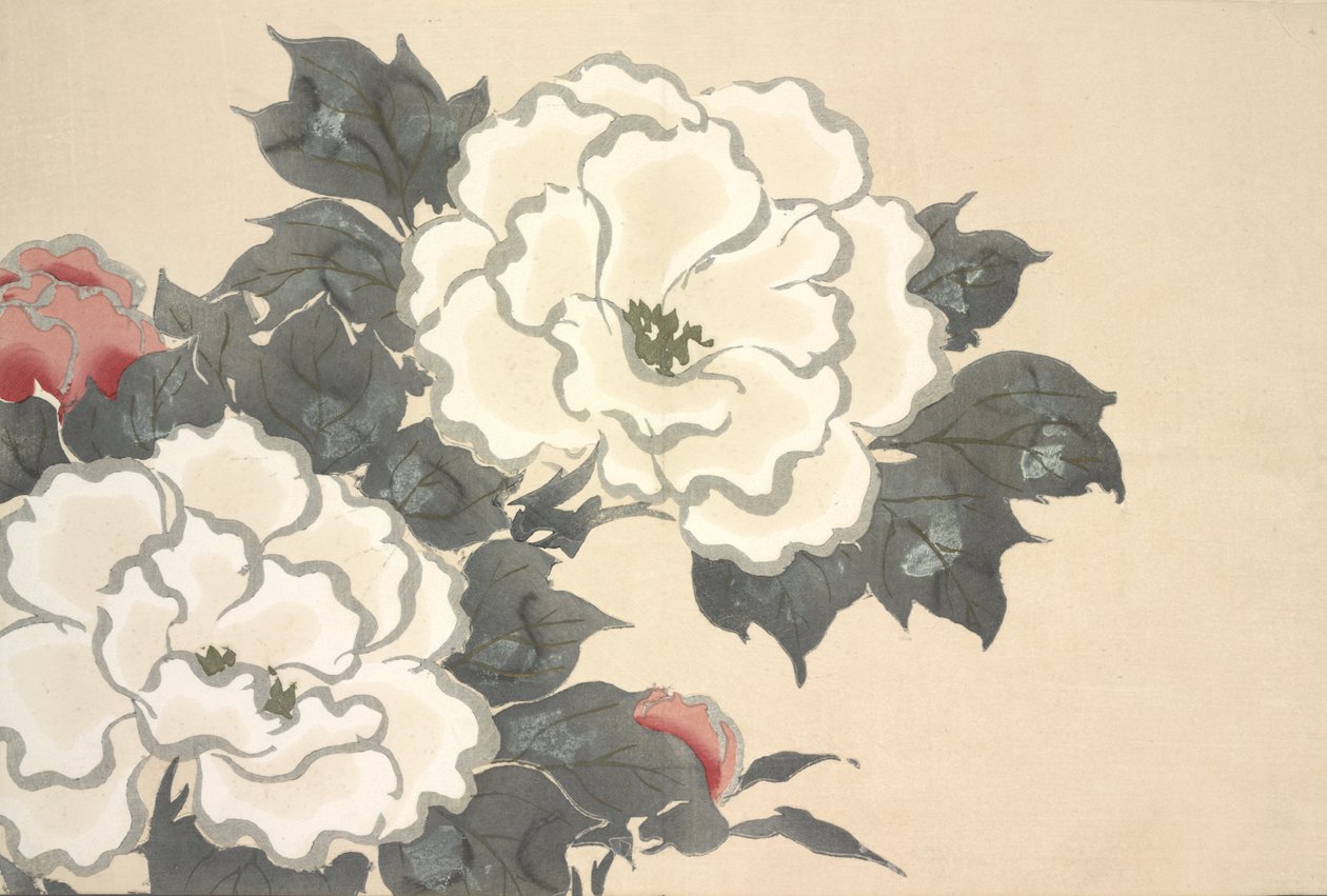 Fukami-Gusa, fra Momoyo-gusa (The World of Things) Vol I, pub.1909 (fargeblokk-tresnitt) av Kamisaka Sekka