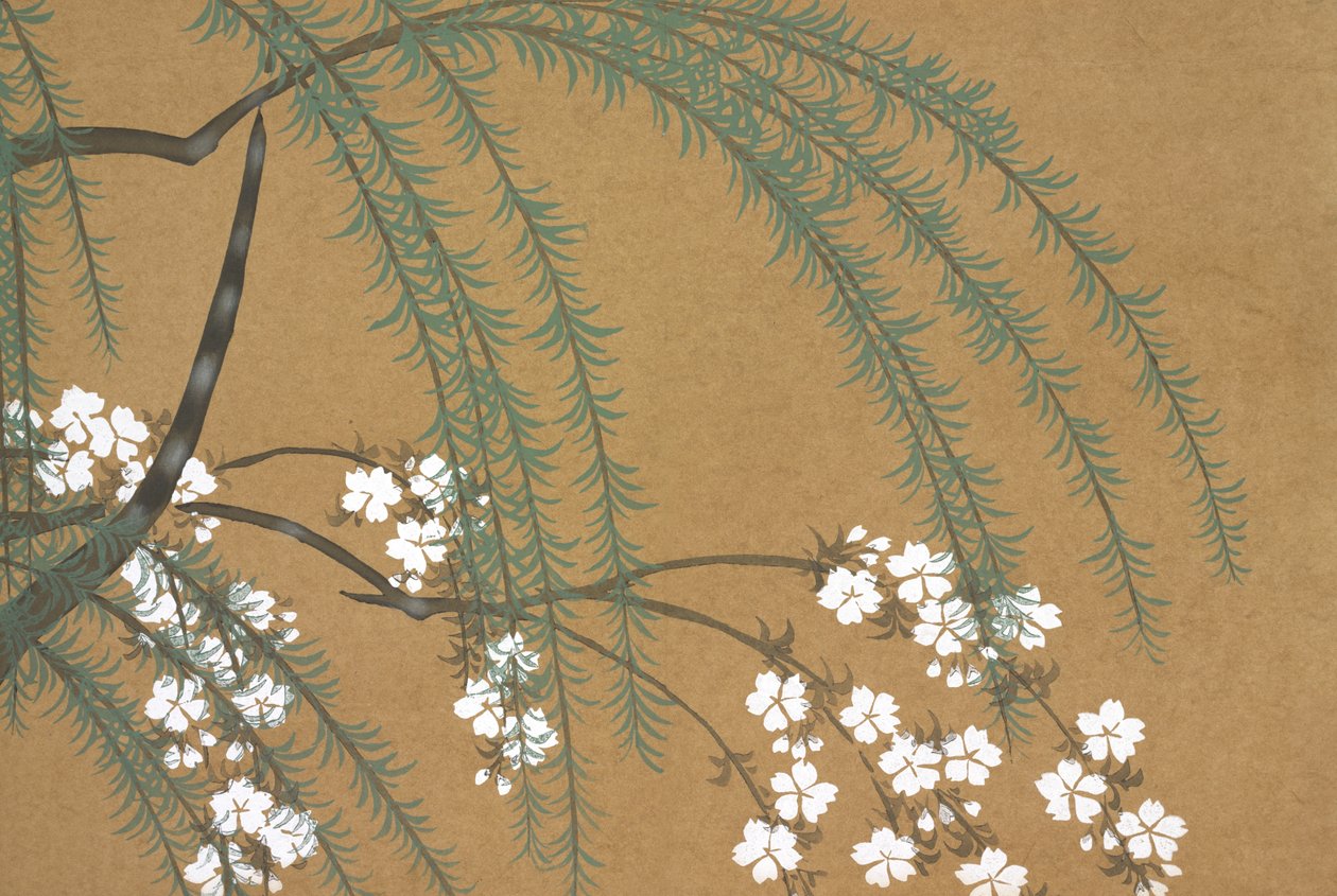Yanagi Sakura, fraomoyogusa av Kamisaka Sekka
