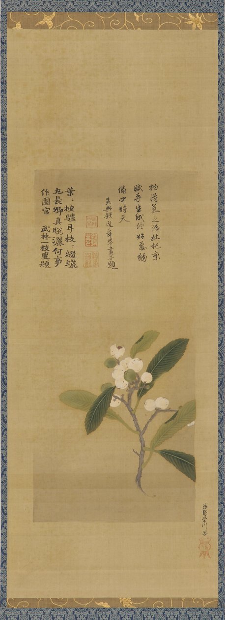 En gren av loquats, Edo-perioden, 1700-tallet. av Kanô Eisen