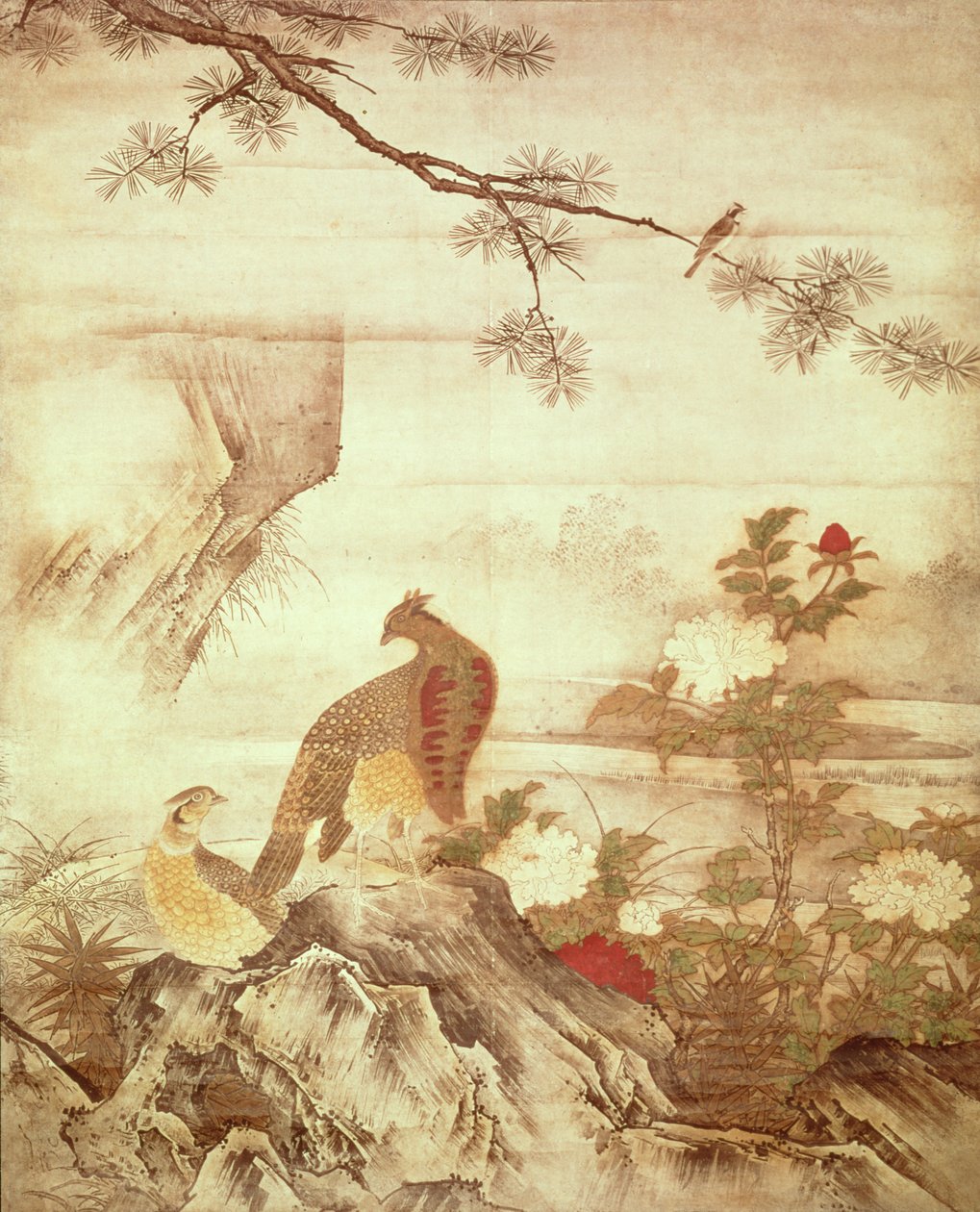Fasaner og peoner, fra en serie ruller som representerer Birds and Flowers of the Four Seasons, Muromachi-perioden (blekk og vask på papir) av Kano Motonobu