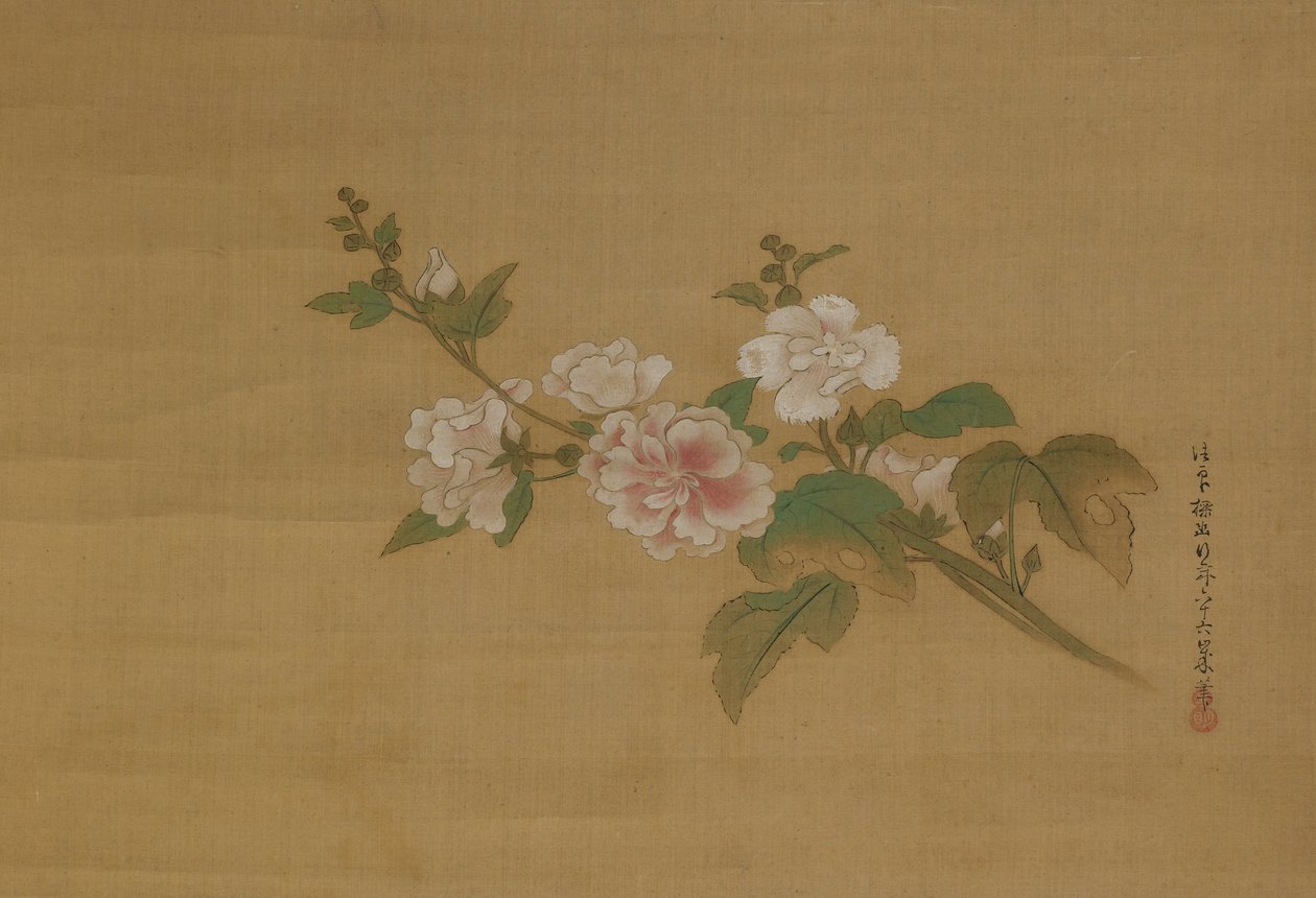 En gren av blomstrende hibiskus, Edo-perioden (farge på silke) av Kanō Tan’yū