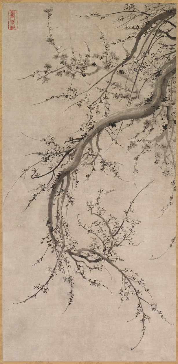 Prunus, 1600-tallet. av Kano Ein