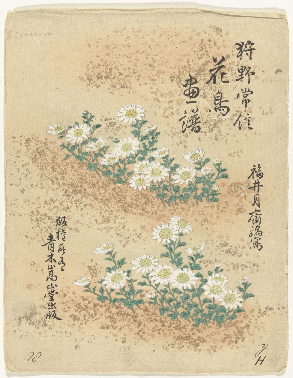 Indeks Blomster- og fugleskisser av Kano Tsunenobu (serietittel) Kano Tsunenobu kacho gafu (serietittel på objekt) av Kano Tsunenobu