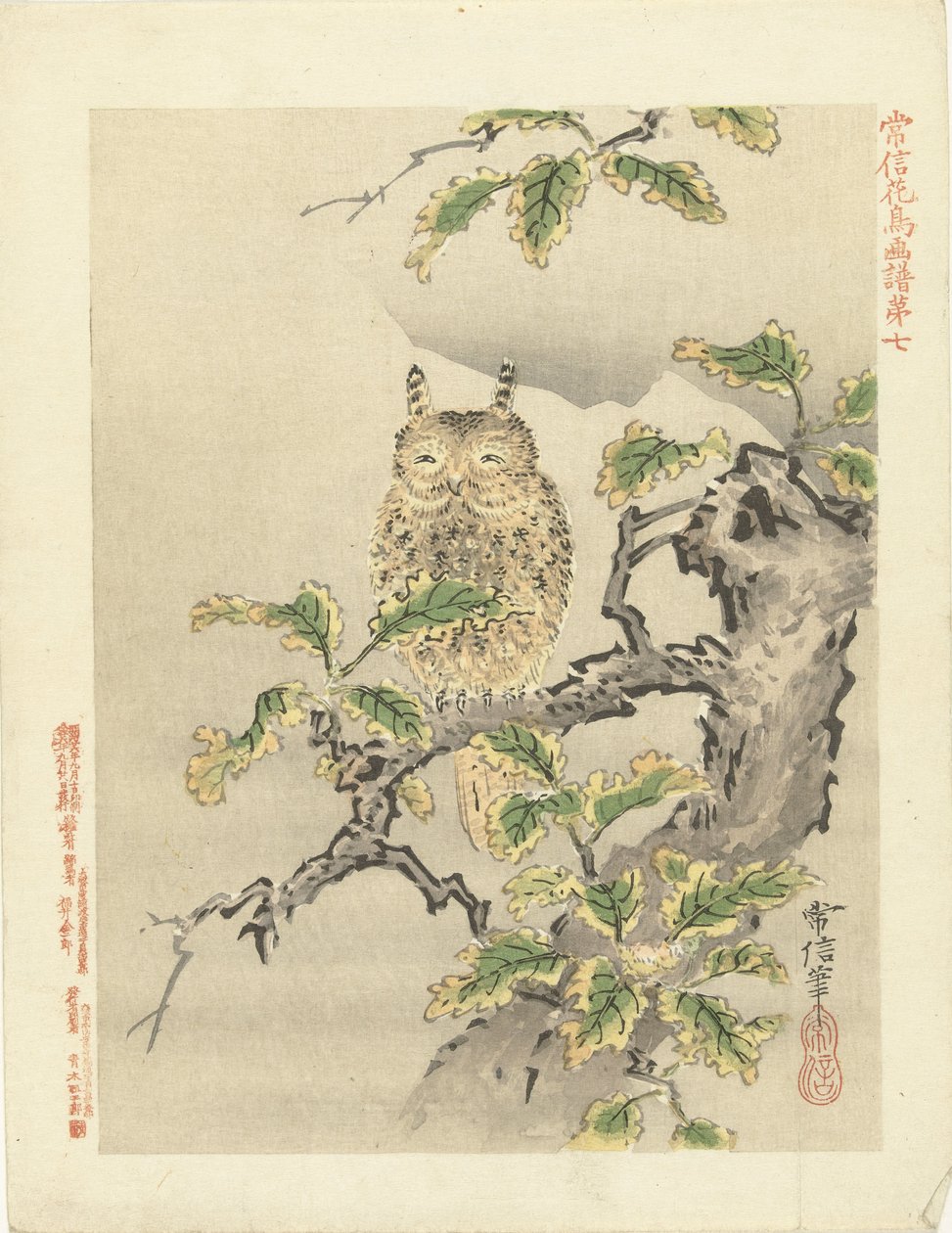 ugle på gren Blomster- og fugleskisser av Kano Tsunenobu (serietittel) Kano Tsunenobu kacho gafu (serietittel på objekt) av Kano Tsunenobu