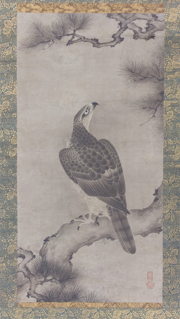 Hawk on a Pine Shoo zu, 1500-tallet. av Kano Yukinobu