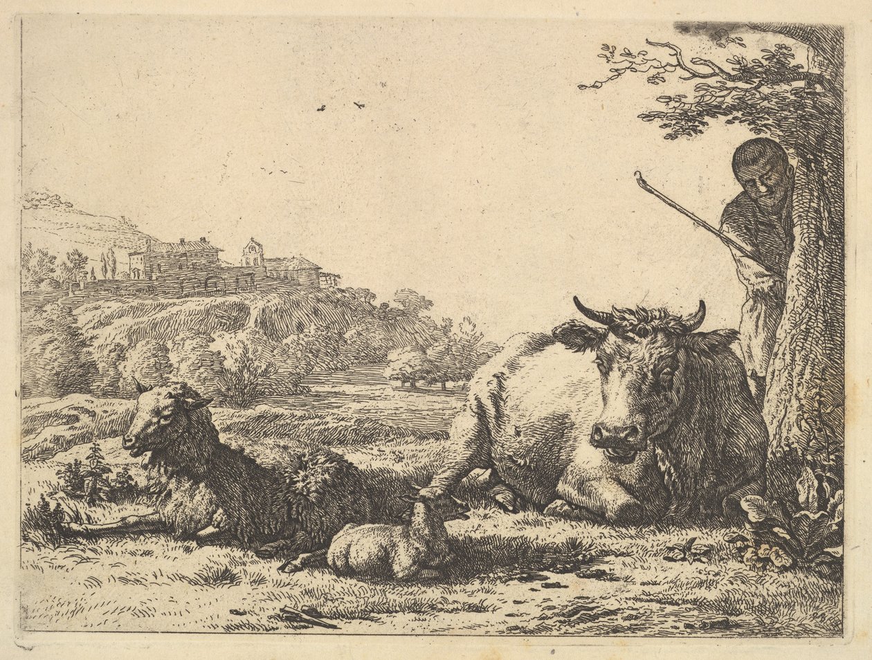 Ku, voksne sauer og unge sauer som ligger i gresset, bortenfor, står en gjeter delvis ..., 1656. av Karel Du Jardin