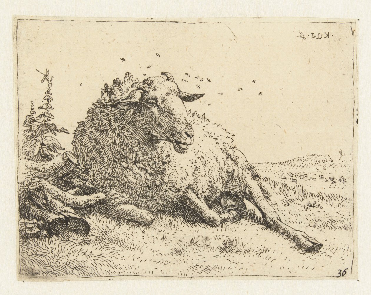 Sau nær en trestamme av Karel Du Jardin