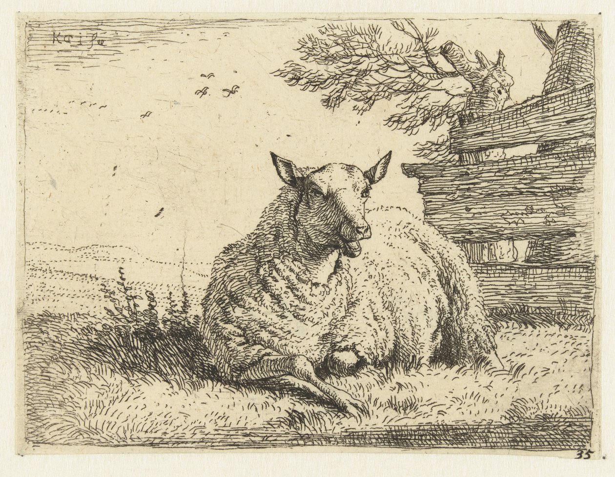 Sauer ved et gjerde av Karel Du Jardin