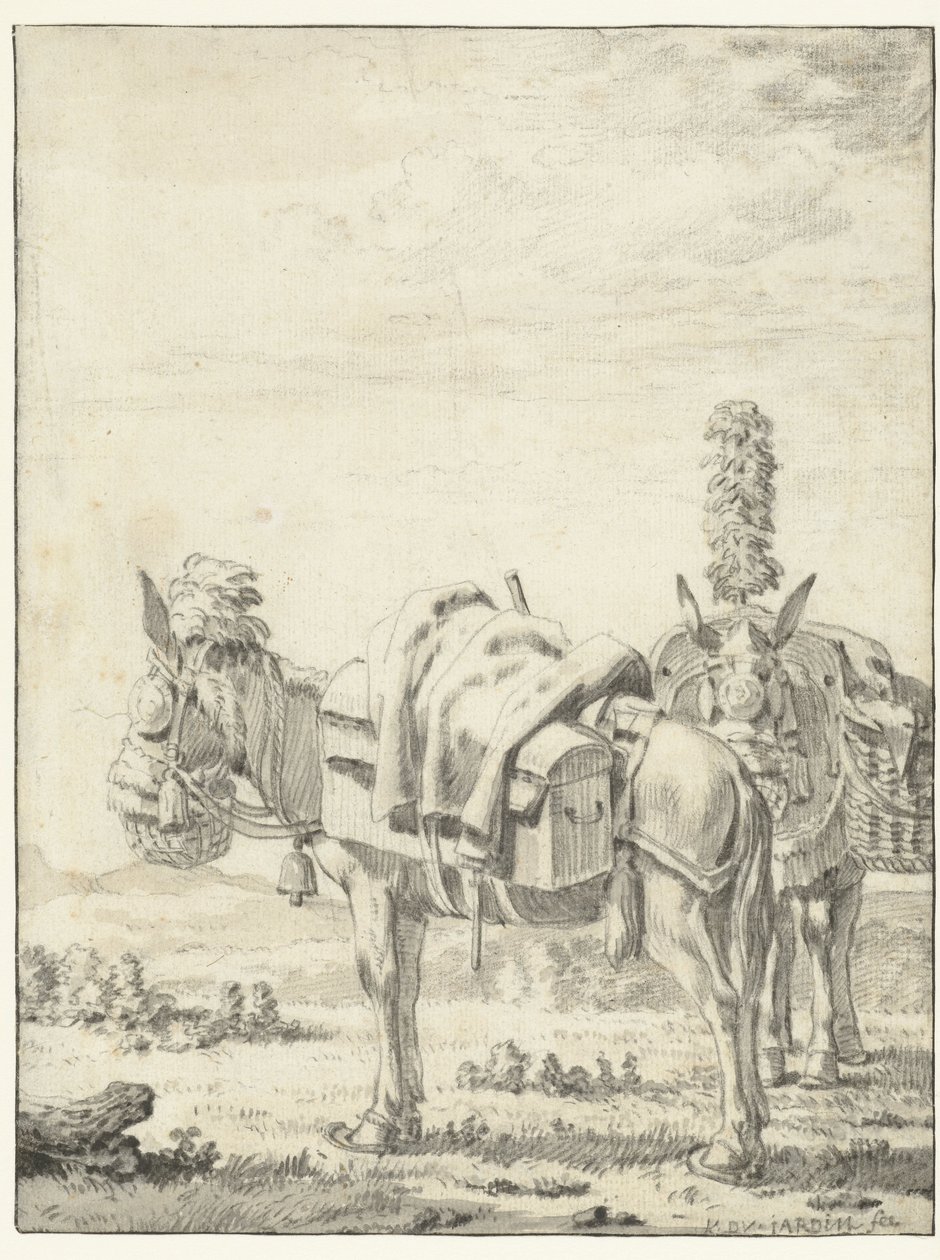 To muldyr av Karel Du Jardin