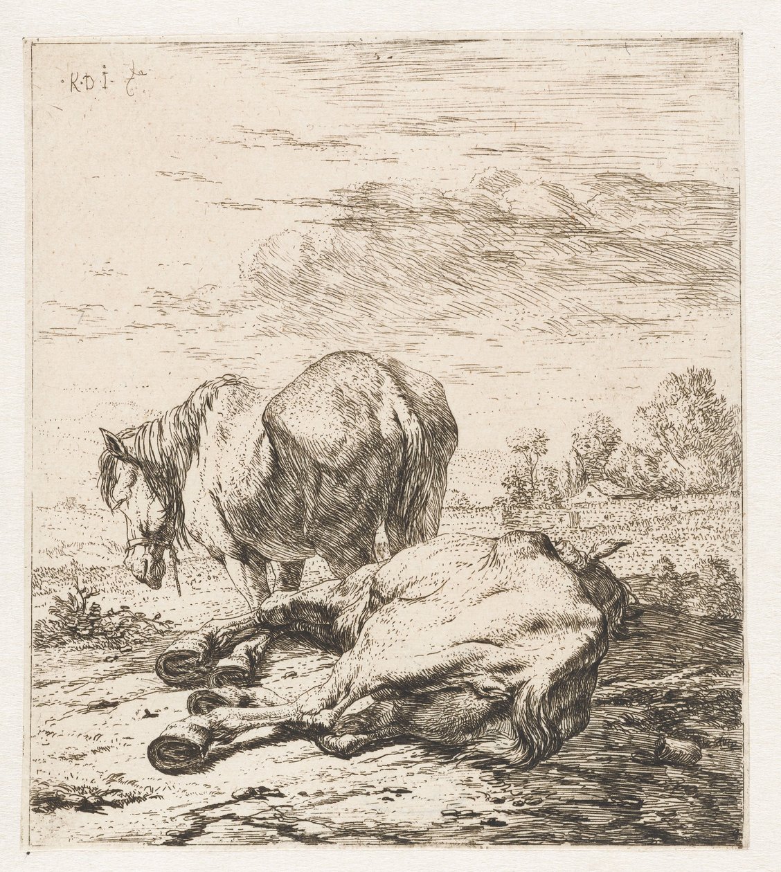 To hester Dyr (serietittel) av Karel Du Jardin