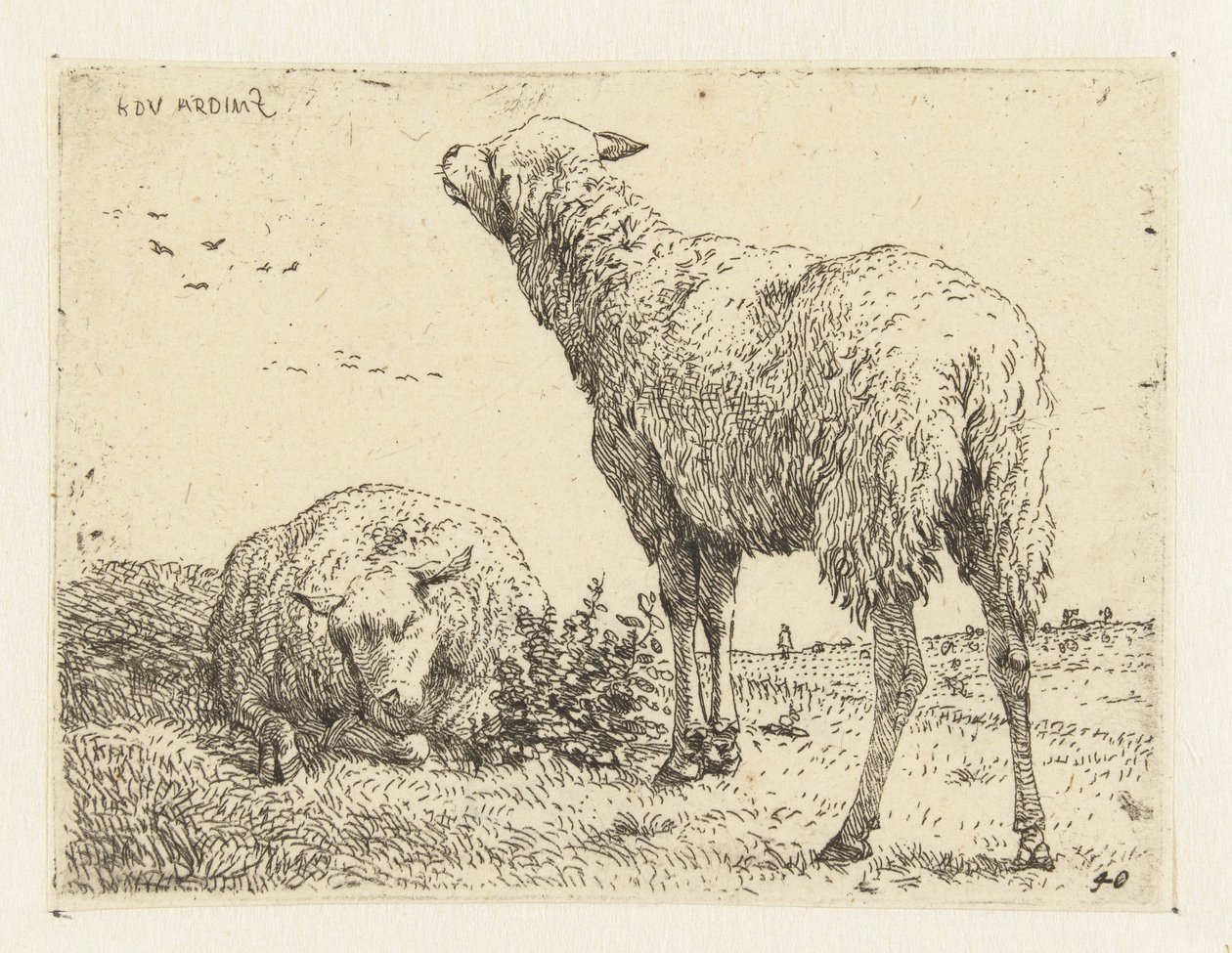 To sauer av Karel Du Jardin