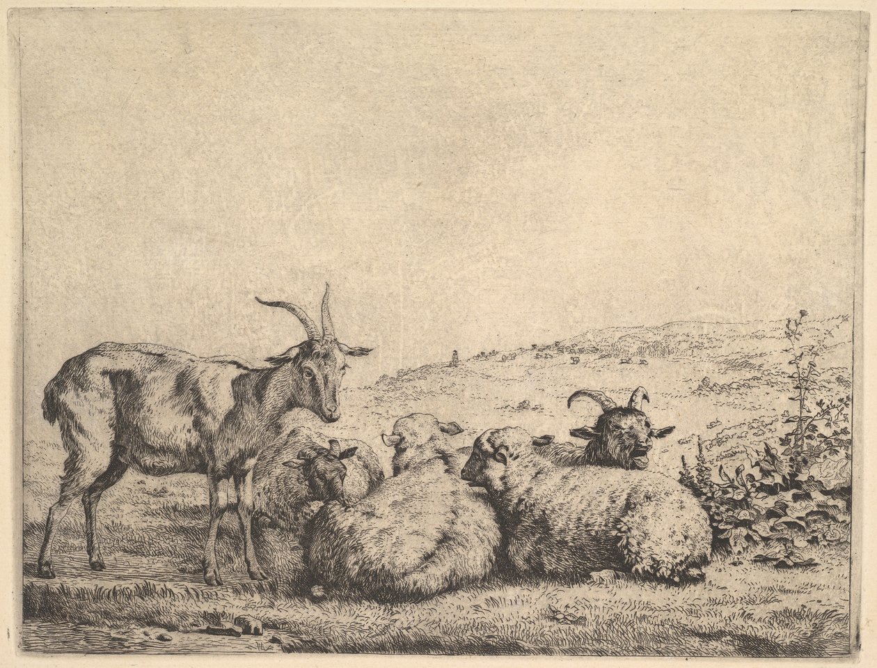 To geiter og tre sauer, 1655. av Karel Du Jardin