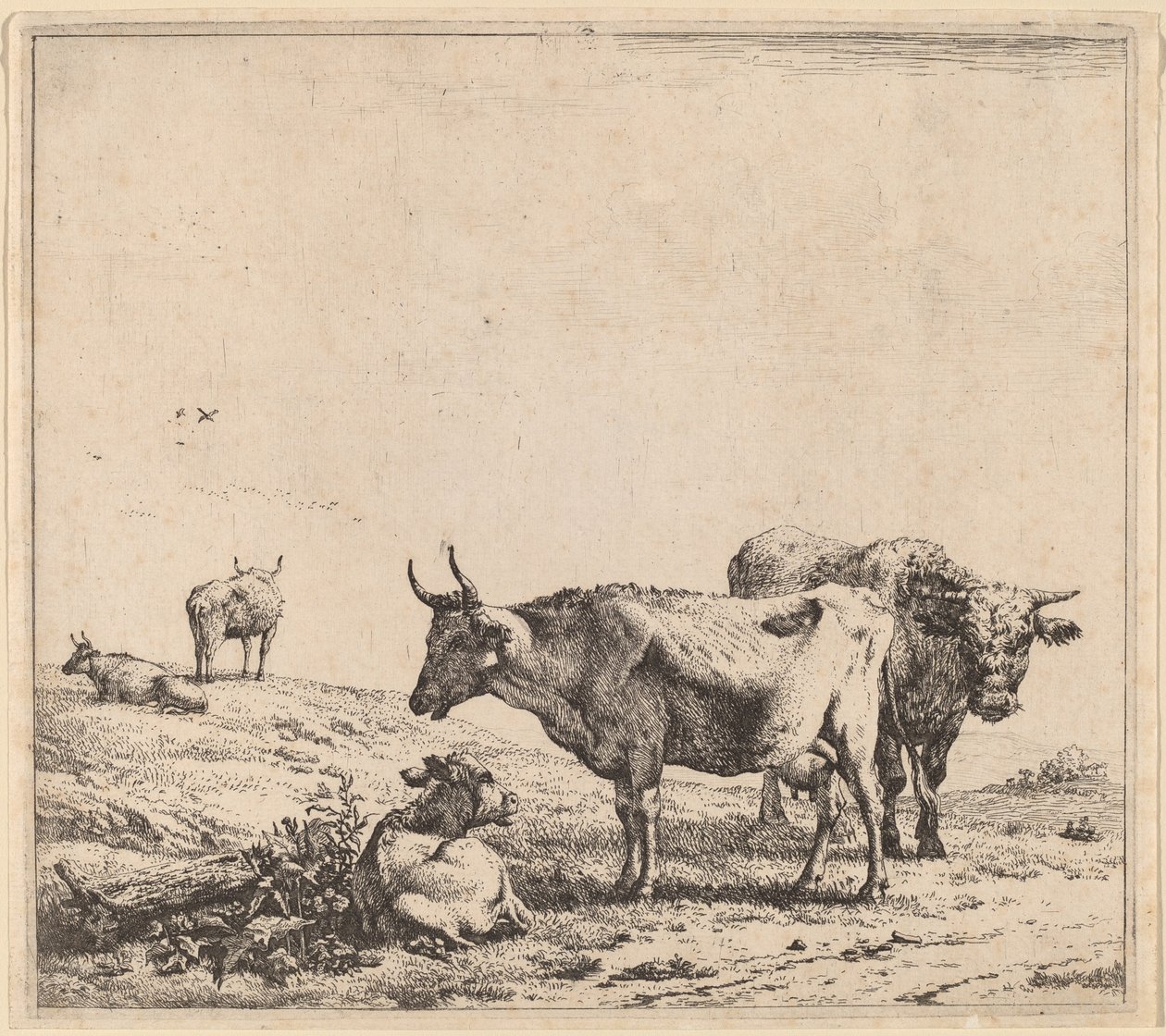 Ku, okse og kalv av Karel Dujardin