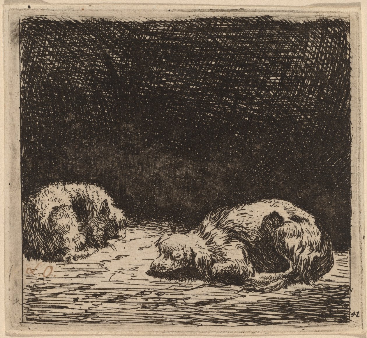 Hund og katt av Karel Dujardin