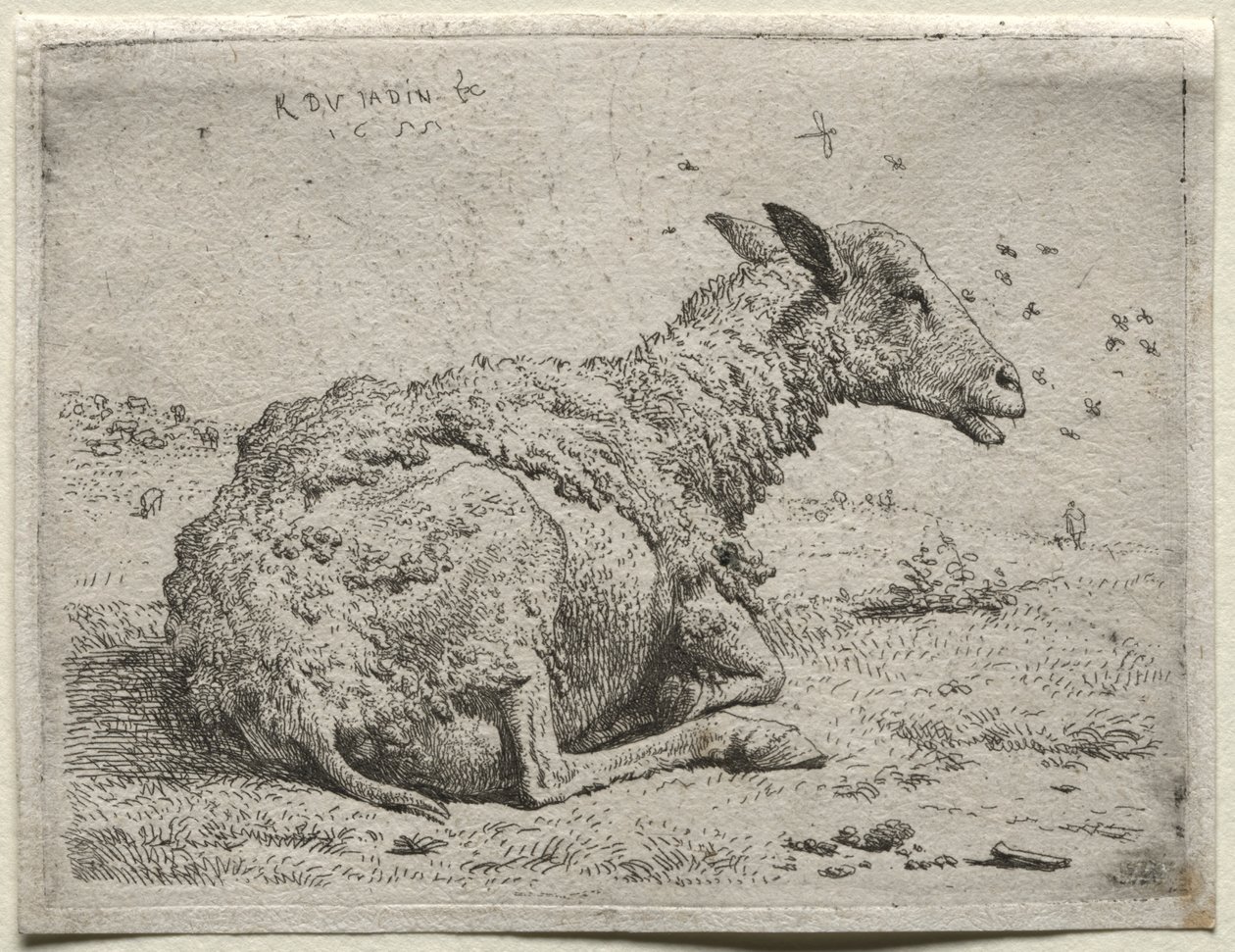 Sauene og fluene av Karel Dujardin