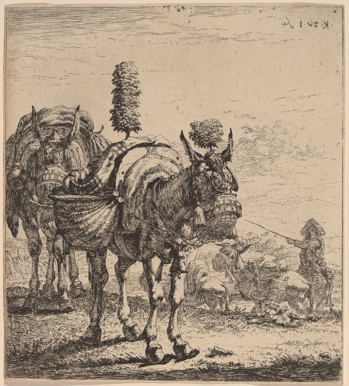 To muldyr av Karel Dujardin