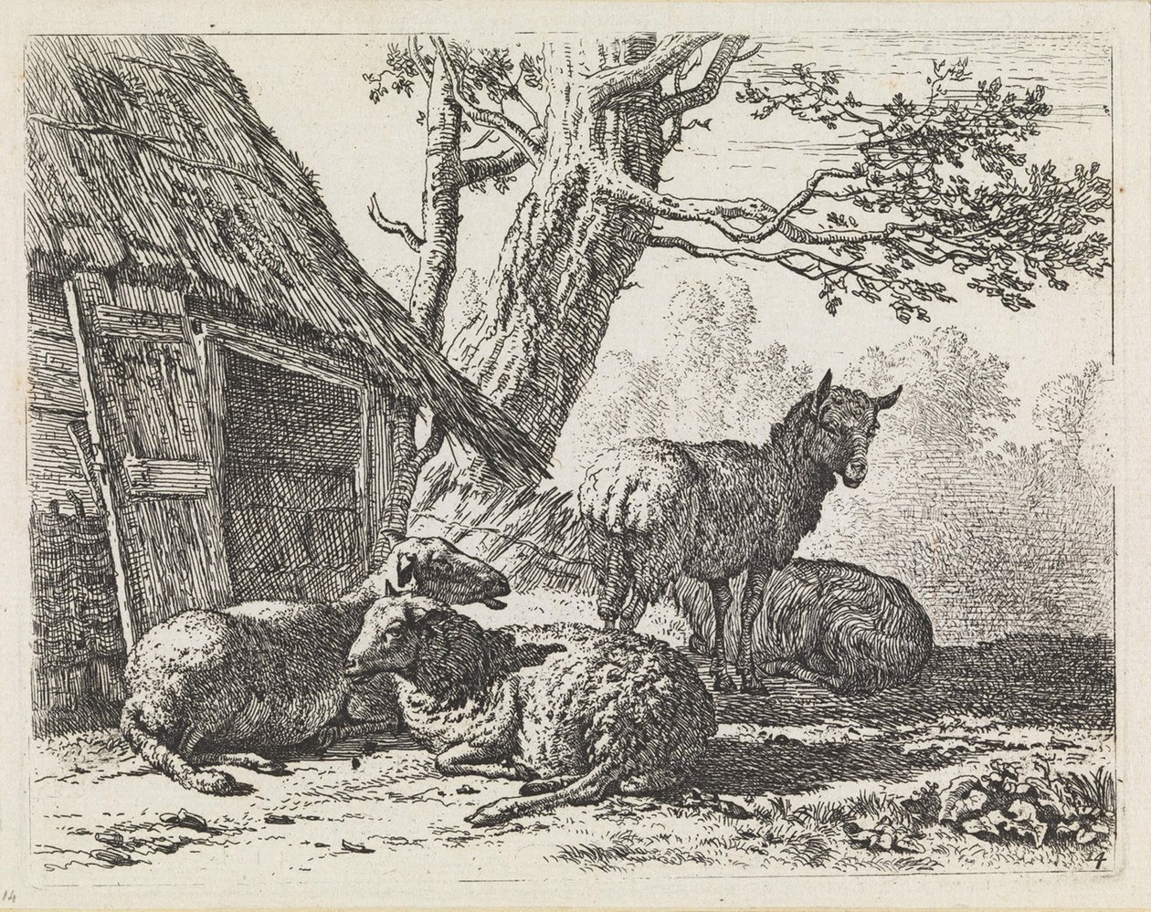 Fire sauer av Karel Dujardin