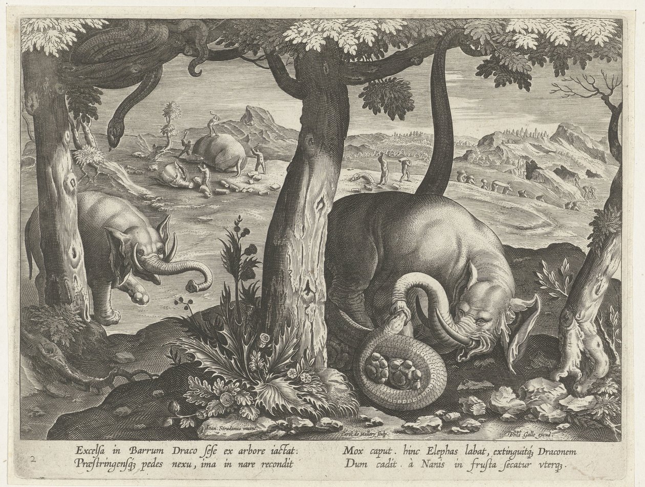 Olifant møtte slang i kamp Jachttaferelen (serietittel) Jakten på vilt, fugl og fisk i Bestiary (serietittel) av Karel van Mallery (attributed to)