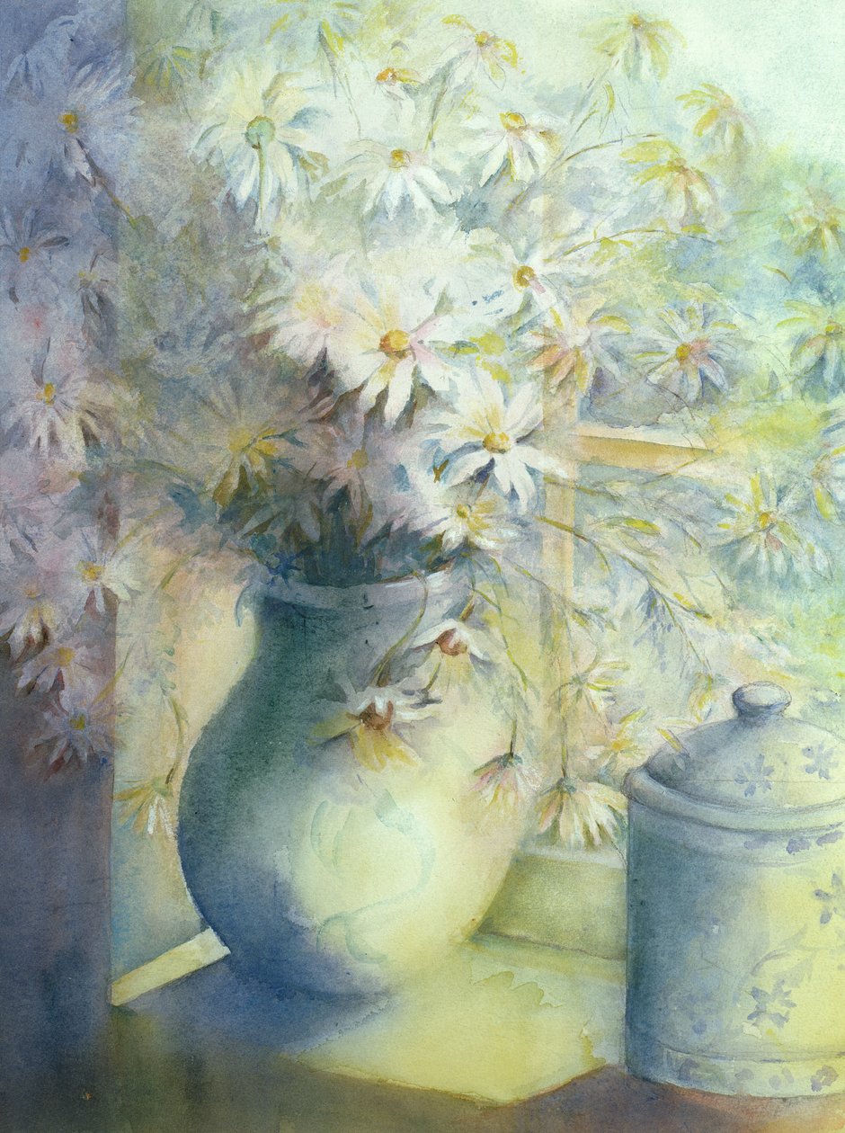 Asters - Snowsprite i kanne på vinduskarmen av Karen Armitage