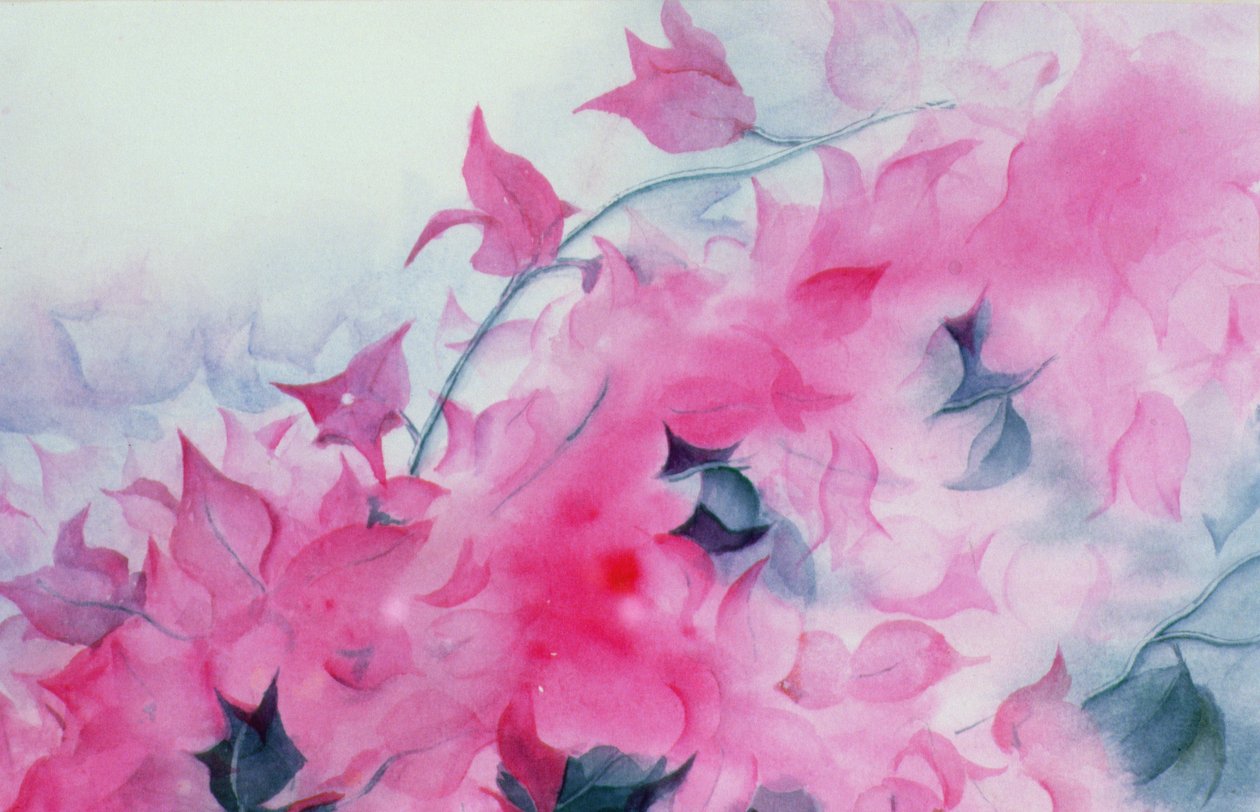 Bougainvillia av Karen Armitage