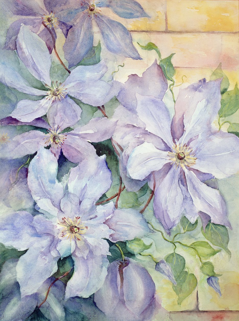 Clematis, presidenten av Karen Armitage