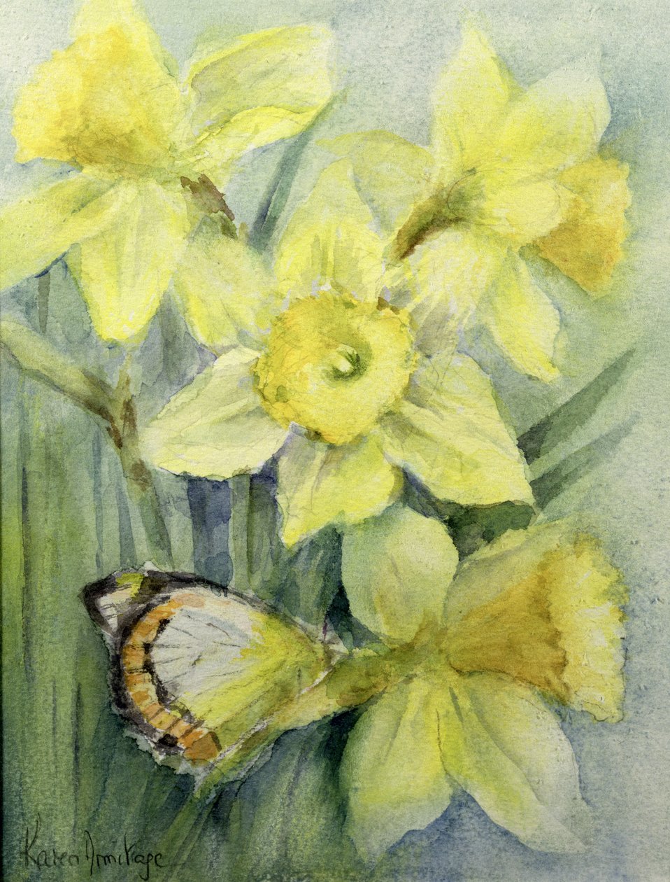 Delias Mysis (Union Jack) sommerfugl på påskeliljer av Karen Armitage
