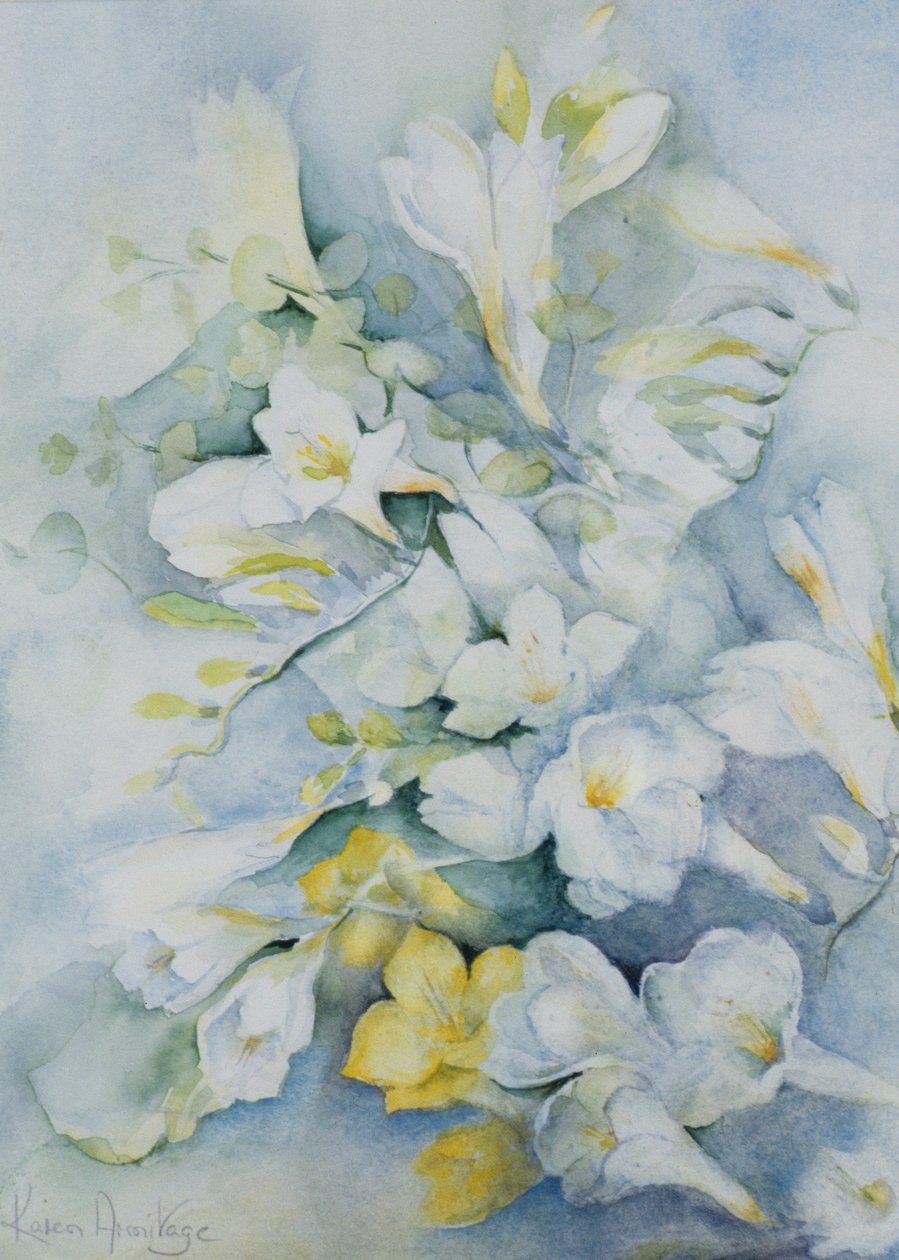 Freesia Eldus, Giant White av Karen Armitage