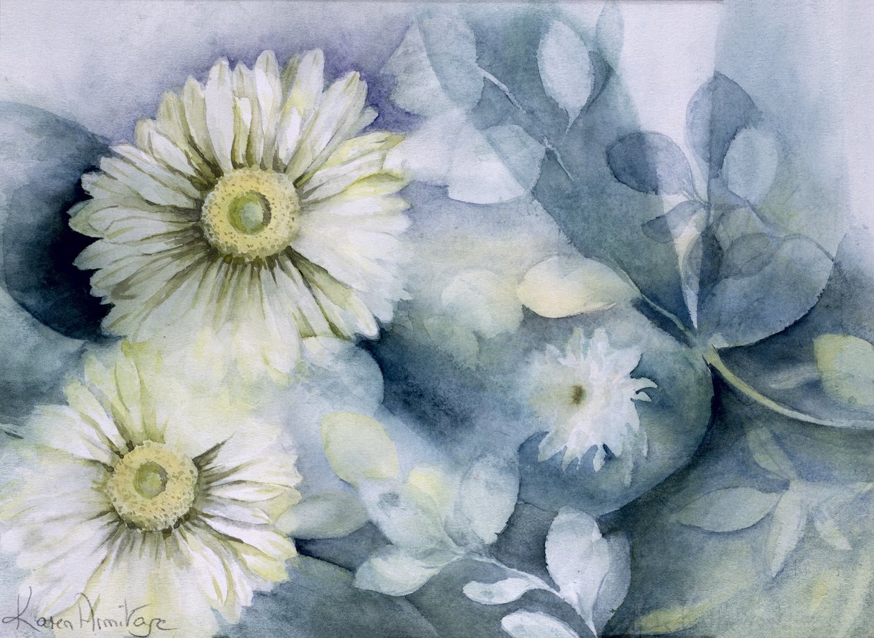 Gerbera Jamemura Bra av Karen Armitage