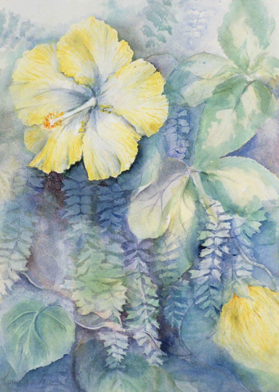 Hibiscus, gul av Karen Armitage