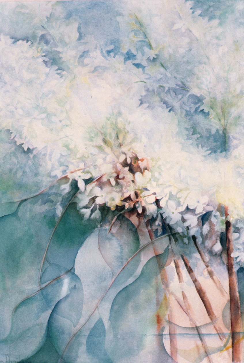Syrin, Maud Norcut av Karen Armitage