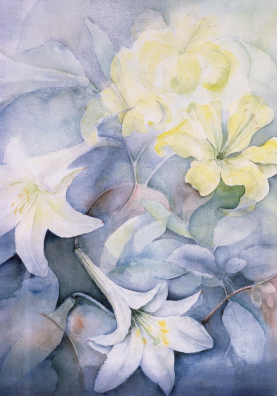 Lilium, Hearts Desire og Imperiale av Karen Armitage