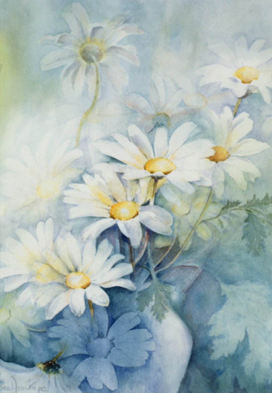 Marguerites, Alexandria av Karen Armitage