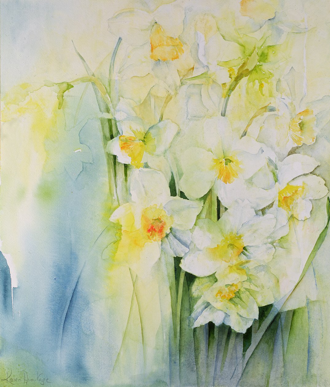 Narcissi og fresia av Karen Armitage