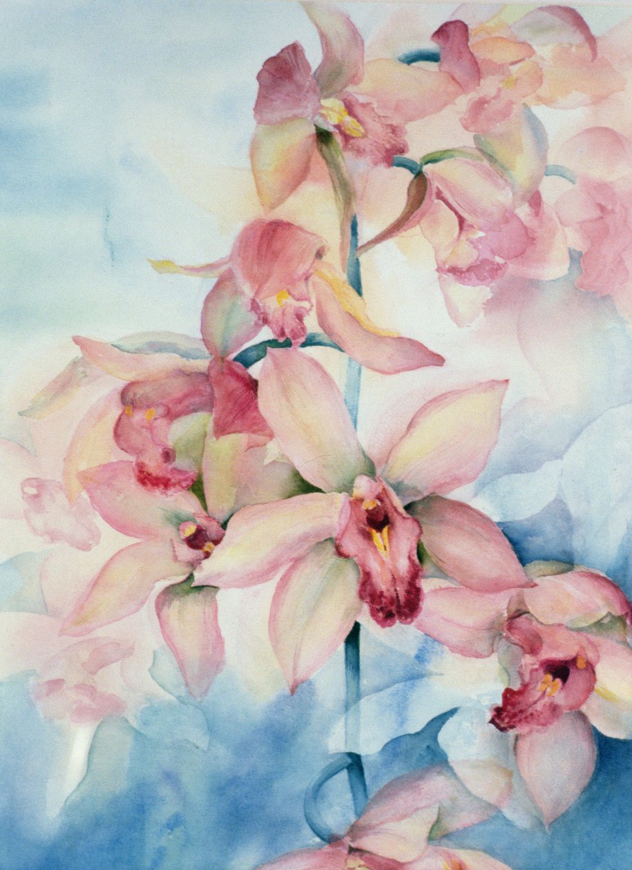 Orchid Cymbidium Ramley av Karen Armitage