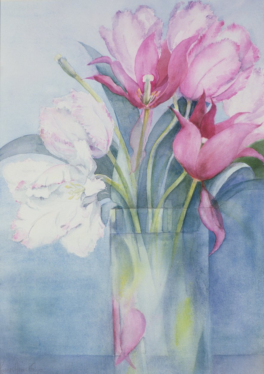 Rosa papegøye tulipaner og Marlette av Karen Armitage