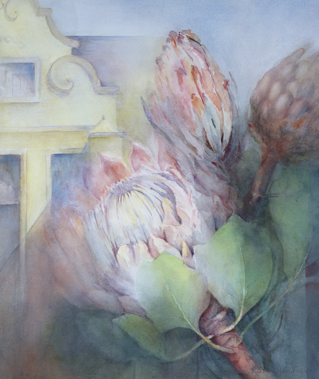 Protea på Stellenbosch, 1992 (wc) av Karen Armitage