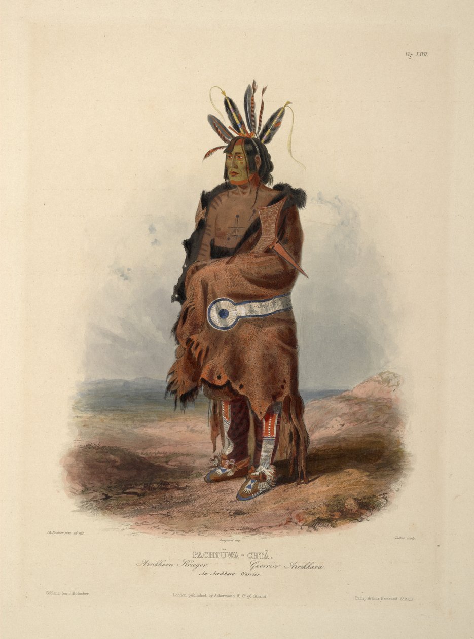 En Arrikara -kriger av Karl Bodmer