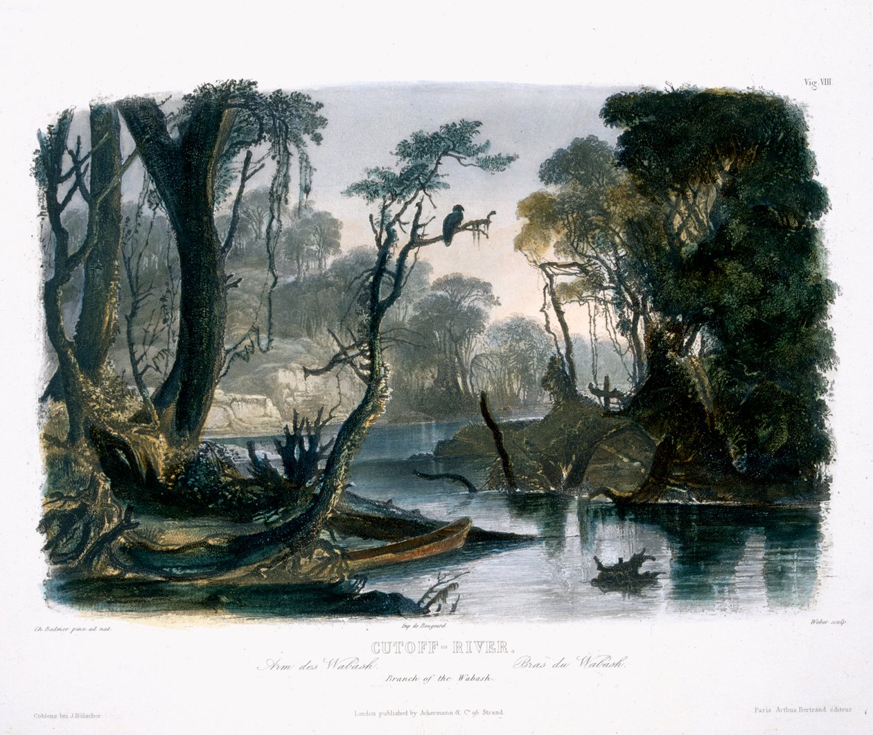 Cutoff River, Branch of the Wabash, plate 8 fra bind 1 av 