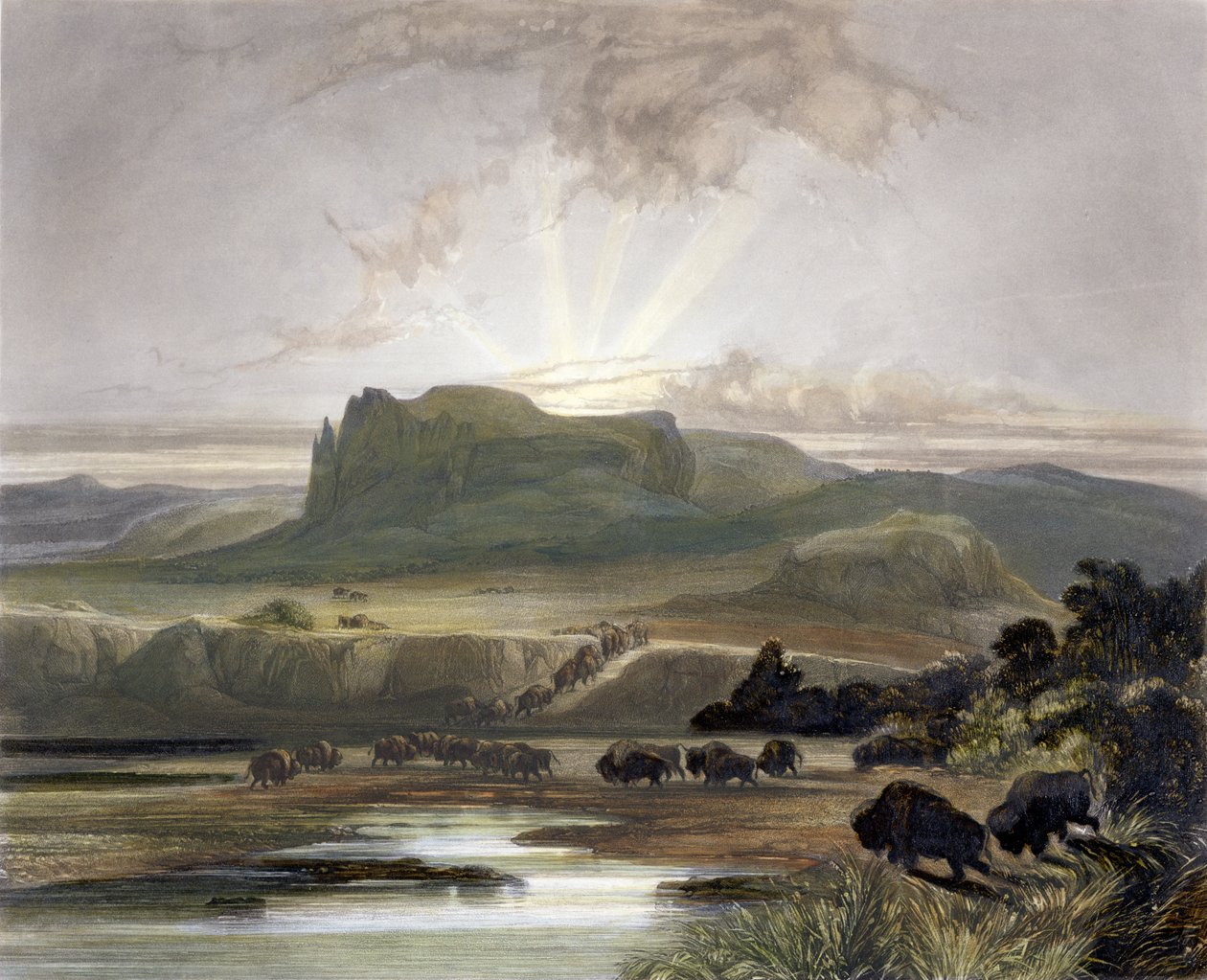 Herd of Bison on the Upper Missouri, plate 40 fra bind 2 av 