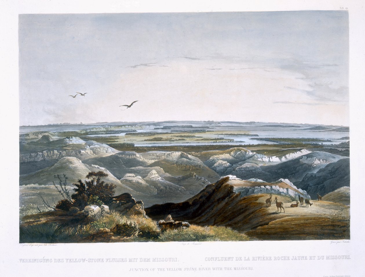 Krysset mellom Yellow Stone River og Missouri, plate 29 fra bind 2 av 