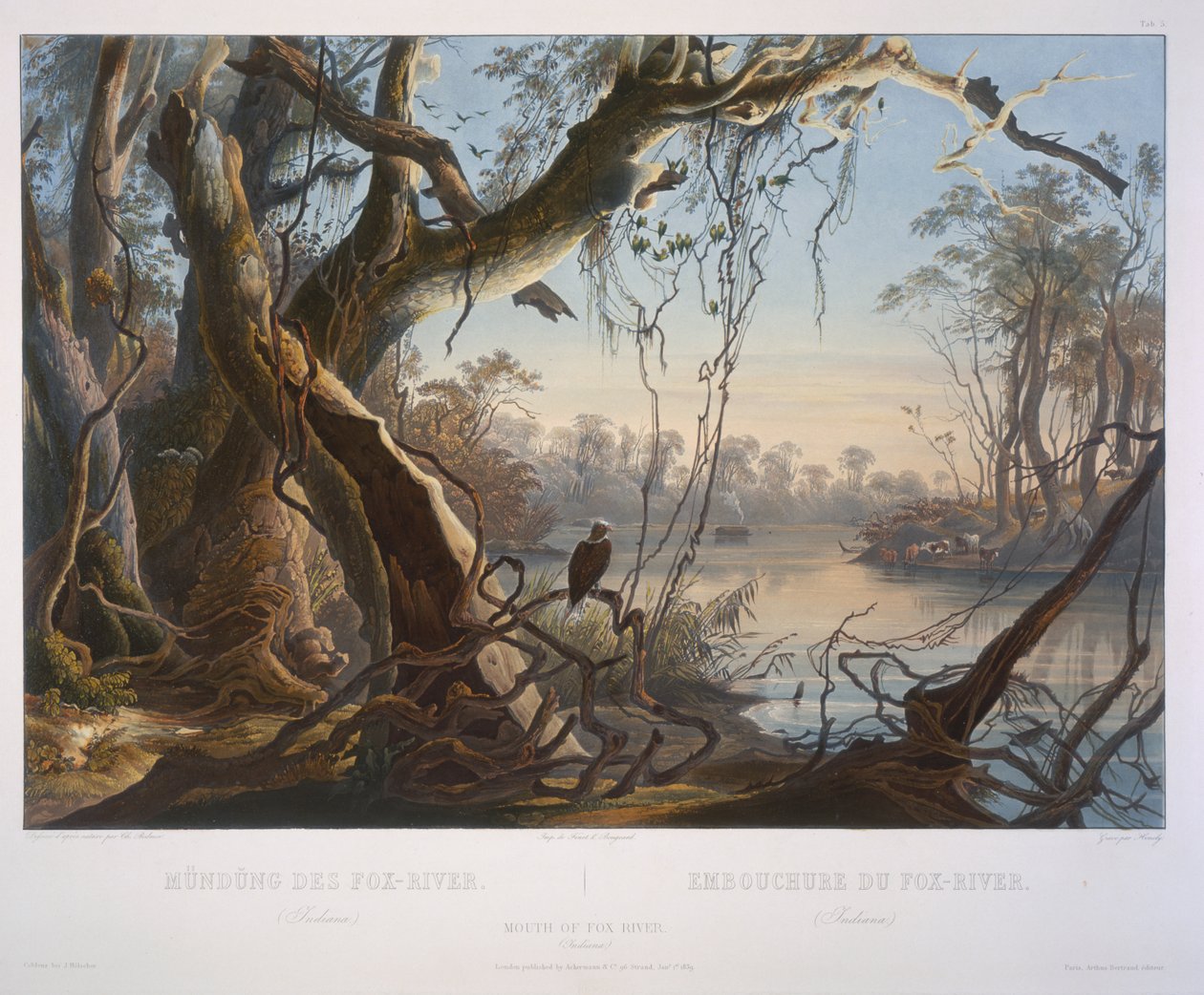 Munnen til Fox River (Indiana) av Karl Bodmer
