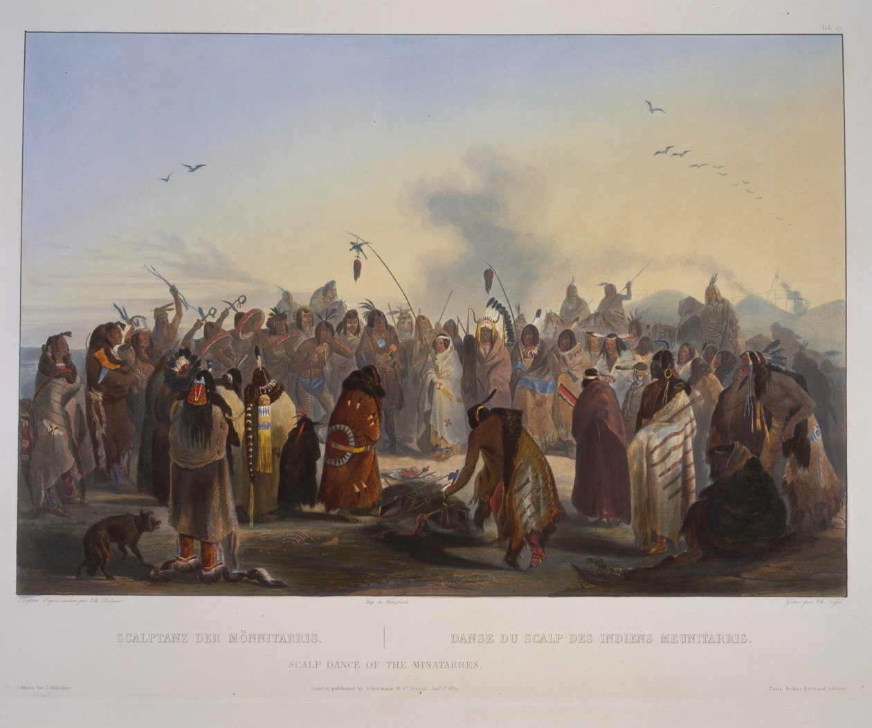 Minatarres skalpdans av Karl Bodmer