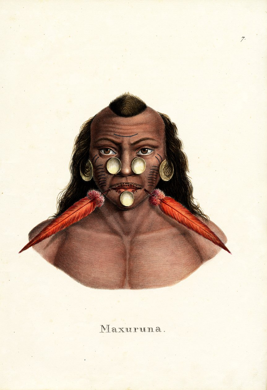 Peruansk indisk, 1824 av Karl Joseph Brodtmann
